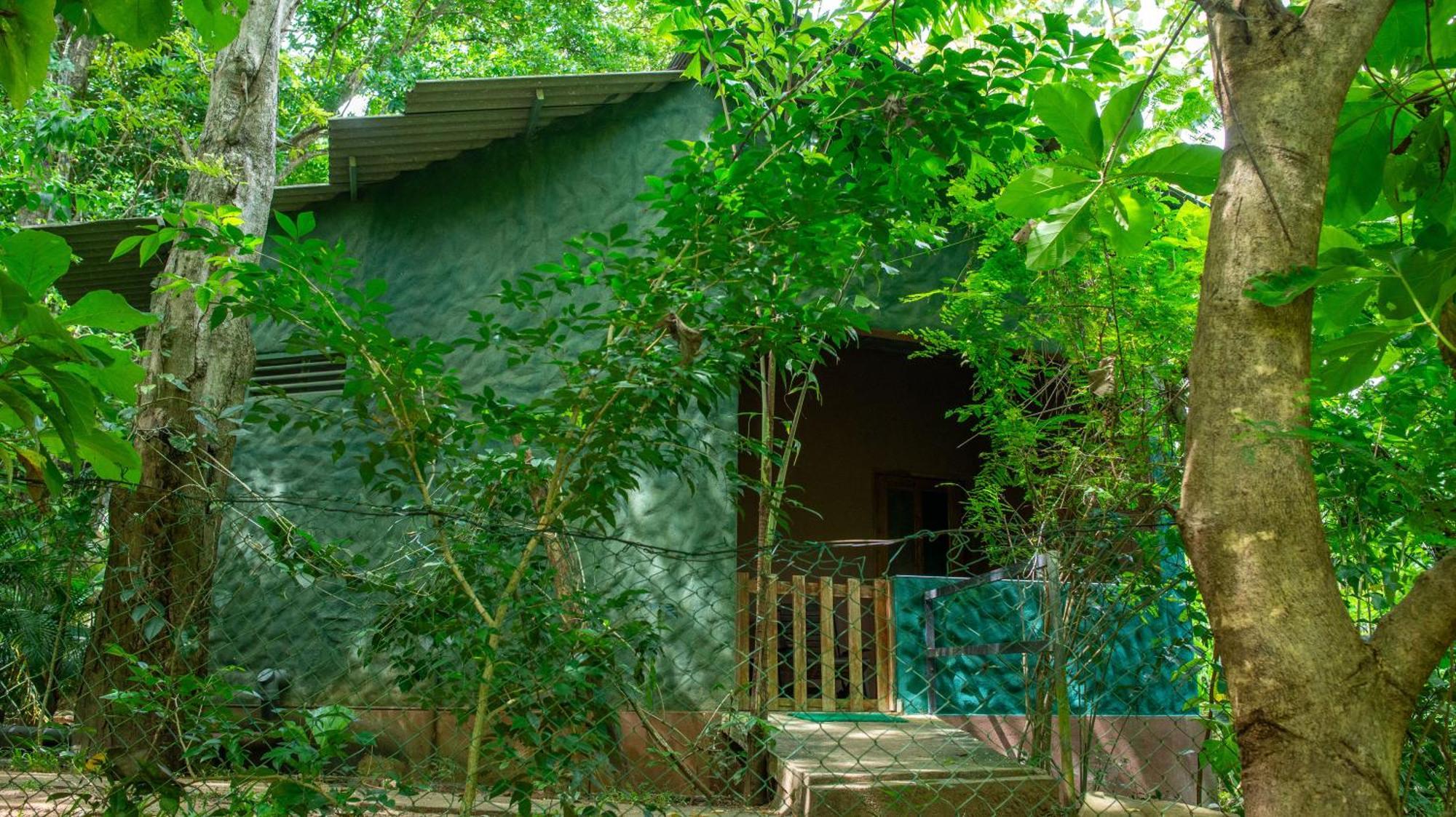 Silent Bungalow Udawalawe Zewnętrze zdjęcie