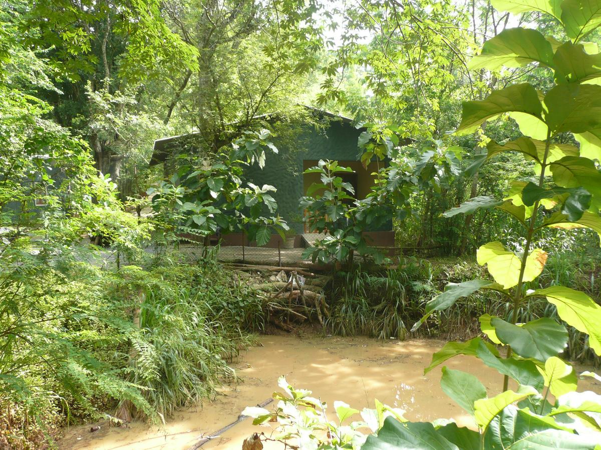 Silent Bungalow Udawalawe Zewnętrze zdjęcie