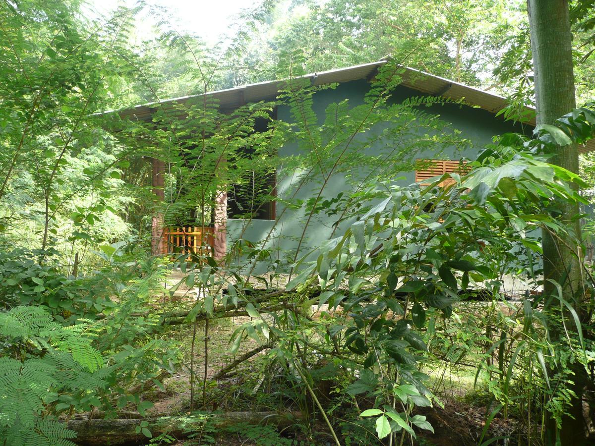 Silent Bungalow Udawalawe Zewnętrze zdjęcie