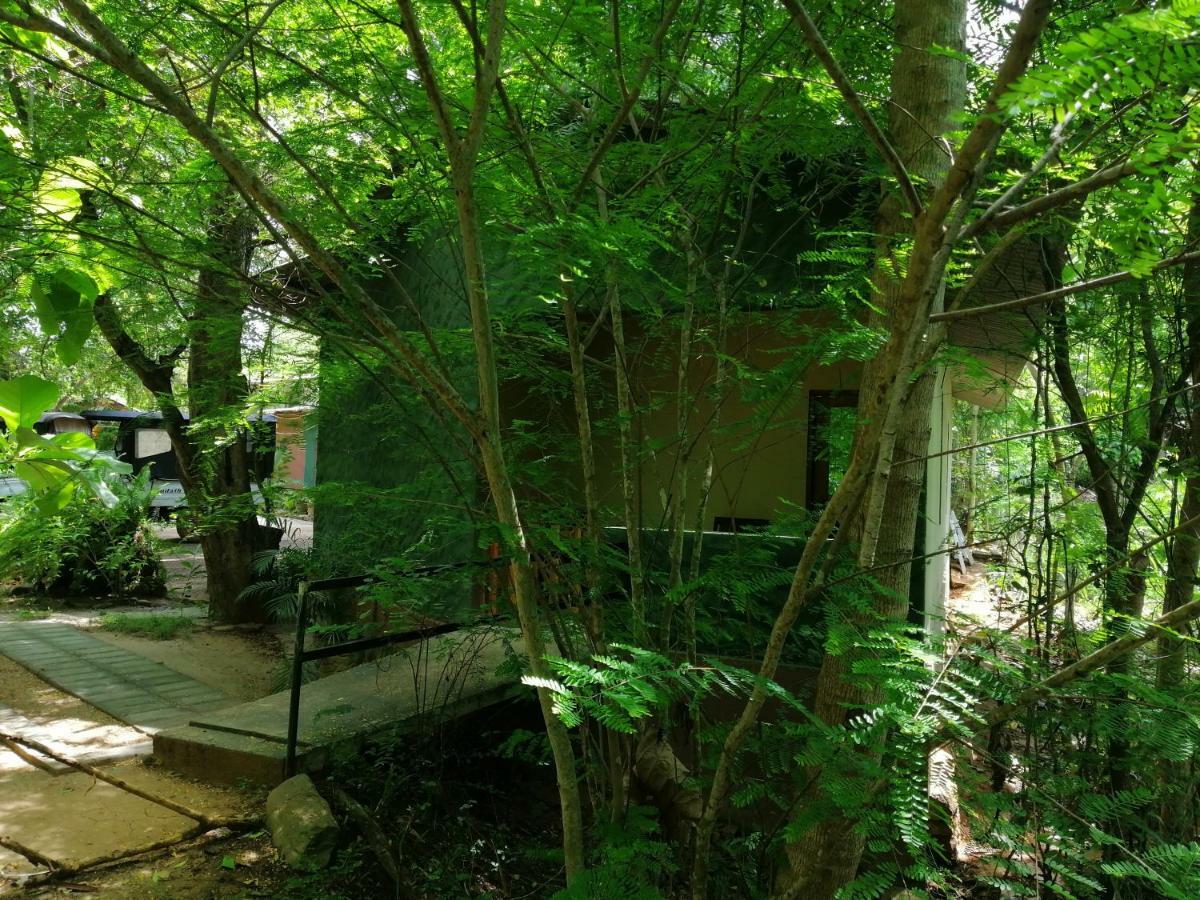 Silent Bungalow Udawalawe Zewnętrze zdjęcie